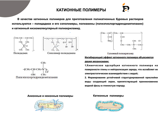 polycat-2 slide